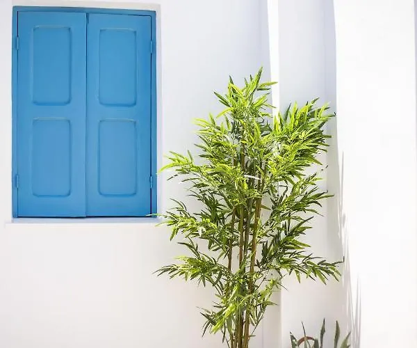 Euphrosyne * لينثوس